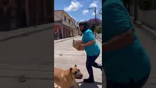 O dia mais difícil do entregador 😂🐕 #short