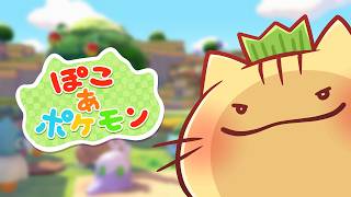 【ぽこあポケモン】クリア後のまったりまちづくりにゃ！【みぼねこちゃんねる / VTuber】