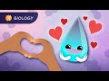 Exploring Water's Role in Life and pH Balance