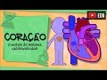 Understanding the Heart and Circulatory System