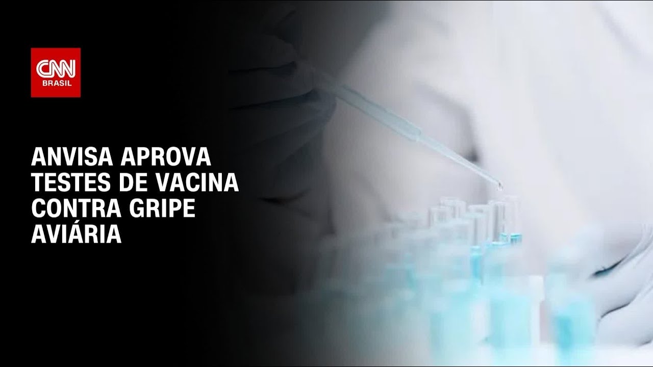 Primeira vacina brasileira contra gripe aviária entrará em fase de testes | CNN PRIME TIME