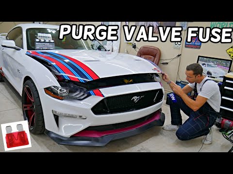 FORD MUSTANG EVAP PURGE CONTROL VALVE FUSE LOCATION REPLACEMENT 2015 2016 2017 2018 2019 2020 2021 2