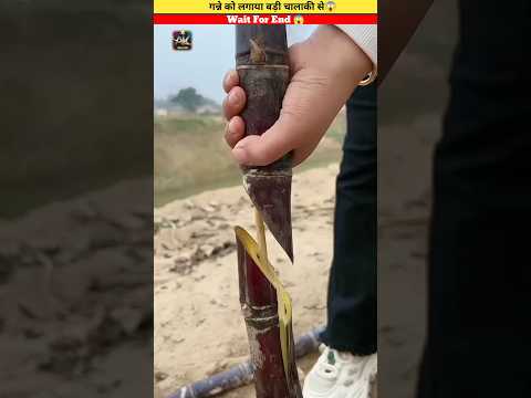 लड़की ने तो कमाल कर दिया 😱😨 | #shorts #youtubeshorts #trending #shortsvideo #fact #shortsfeed