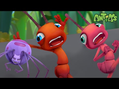 Grande perseguição de aranha! 🕷🕸 | ANTIKS BRASIL | Desenhos Animados Engraçados para Crianças