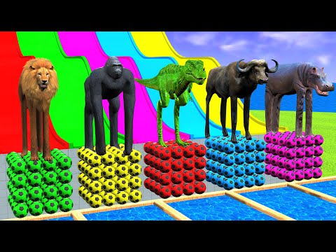 Cow Elephant Tiger Gorilla Hippo 3d Animal Crossing Paint Fountain on Long Slide Funny Cage Game