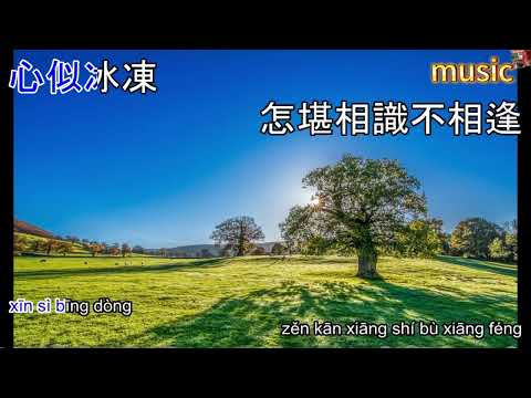 999朵玫瑰 999KTV 伴奏 no vocal 無人聲 music 純音樂 karaoke 卡拉OK 伴唱999朵玫瑰 999