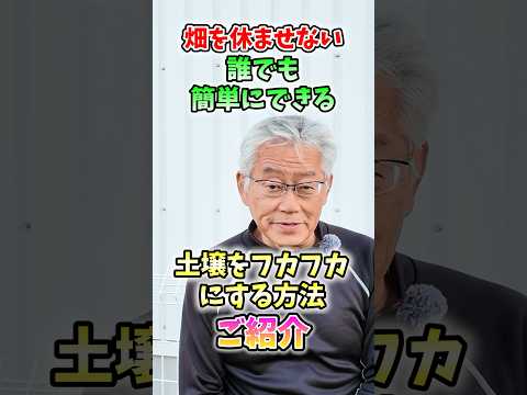 家庭菜園や農園の野菜栽培で冬に土をフカフカに！簡単にできる土壌改善の秘訣と野菜の育て方！【農家直伝】#shorts