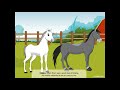 Narrator's Early Life and Relationships