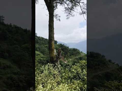 wah kya nazara hai....#nature #travel #villagelife #clouds