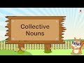 Exploring Collective Nouns in English Grammar