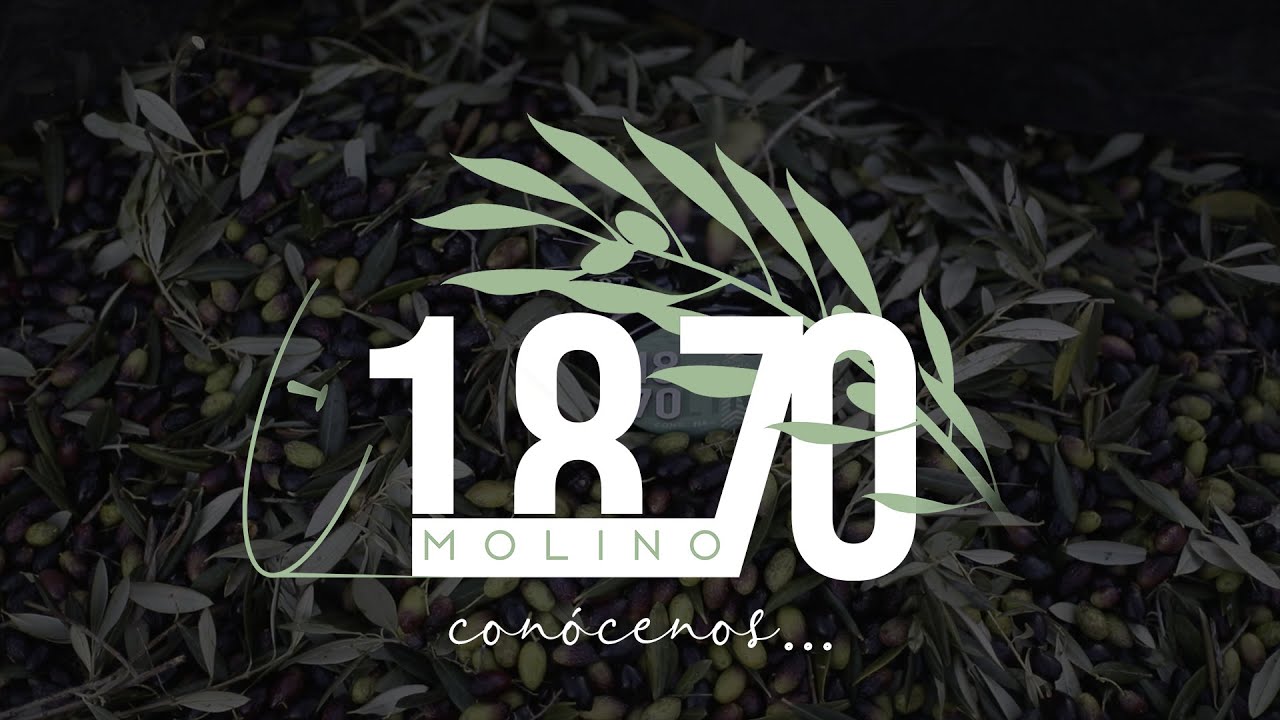 Video Aceite de Oliva de Molino 1870