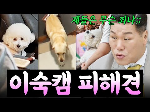 이숙캠 특 : 강아지 키움🐶 ＂쟤들은 <strong>무슨</strong> 죄냐💦＂  부부 싸움의 <strong>최대</strong> 피해견(?) 모음🔥 | 이혼숙려캠프 | JTBC 260101 방송 외