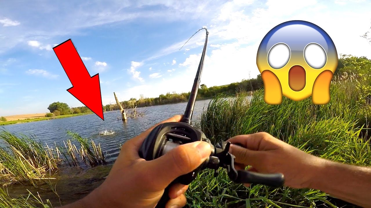 Catching GIANT Bass in a NEW Pond