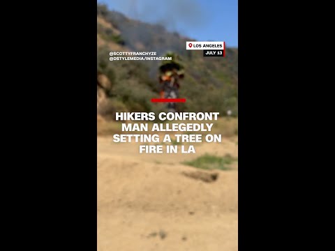 Hikers confront man allegedly setting a tree on fire in LA