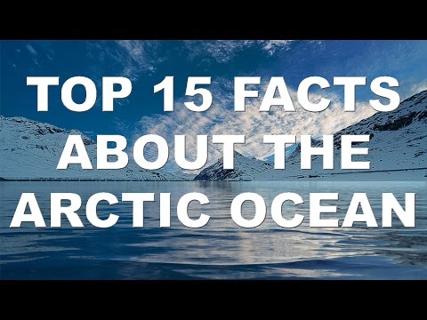 TOP 15 Facts About The Arctic Ocean