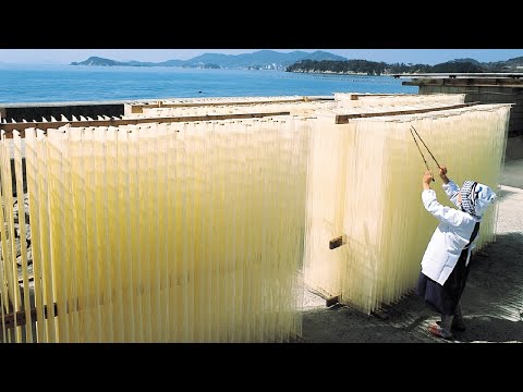 How To Making Japan Famous Noodle - Traditional Japanese Noodle Factory - Noodle Processing Line