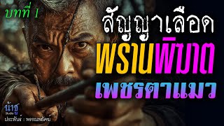 พรานพิฆาตเพชรตาแมว! บทที่ 1 สัญญาเลือด | นิยายเสียง🎙️น้าชู