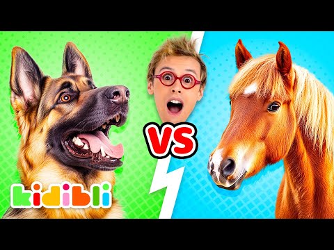 Horses VS Dogs Compilation | Animal Educational Videos for Kids | Kidibli