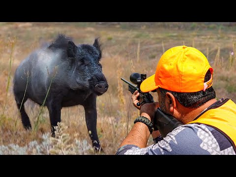 GIANT MONSTER BOAR HUNT: Unbelievable Shots & Perfect Action!