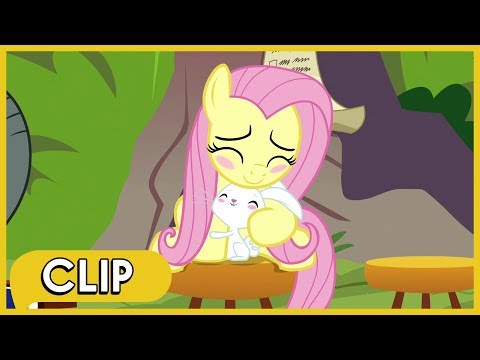 Fluttershy and Angel Sympathize with Each Other - MLP: Friendship Is Magic [Season 9]