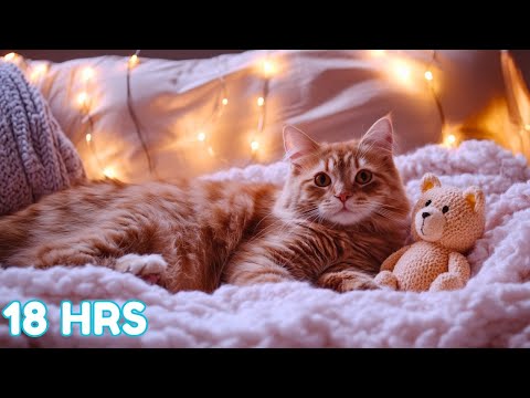 18 HOUR Cat Relaxation Lullaby - Healing Cat Music 🎵🐱