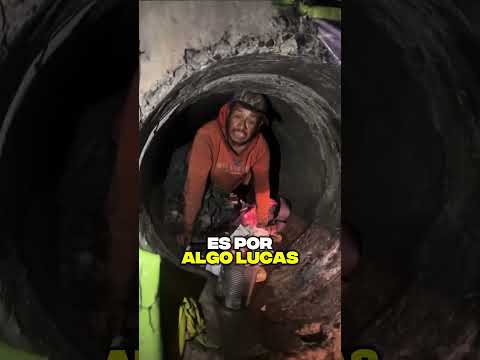 Pario la cochi gente! #patrullaespiritual #tazodorado