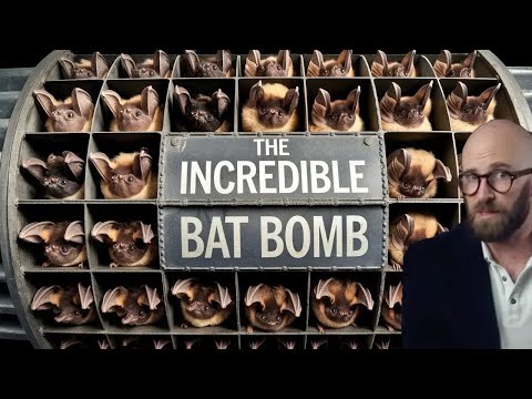 Bat Bombs: The Strangest Idea for Attacking Japan