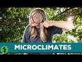 Microclimates and Their Effects