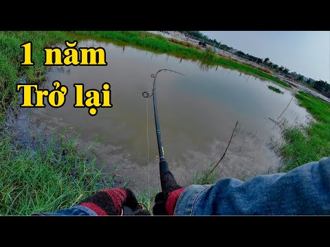 Cảnh báo lừa đảo ! Trở lại điểm câu sau hơn 1 năm  THÚ VUI MIỀN TÂY. 34