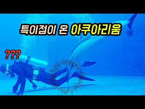 특이점이 와버린 아쿠아리움 이상한 일들이 일어납니다 [오브리더]