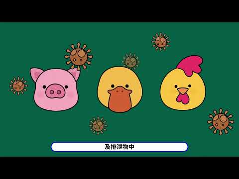 你有沒有聽過新型A型流感 (202311製) - YouTube