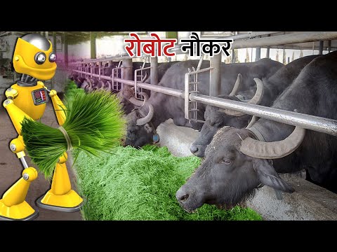 AI Robot Buffalo Feeding Desi Jugad Hindi Kahaniya Hindi Stories Moral Stories New Comedy Video