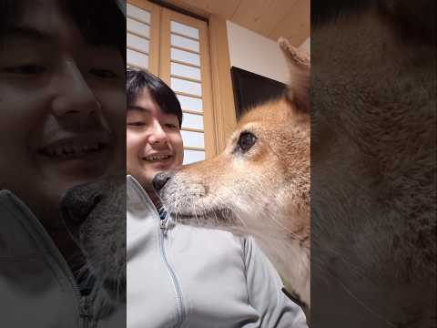 thumbnail_zkGICYH0nqE