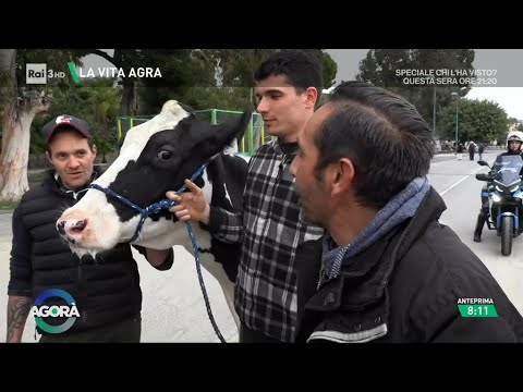 Agricoltori a Sanremo - Agorà 07/02/2024