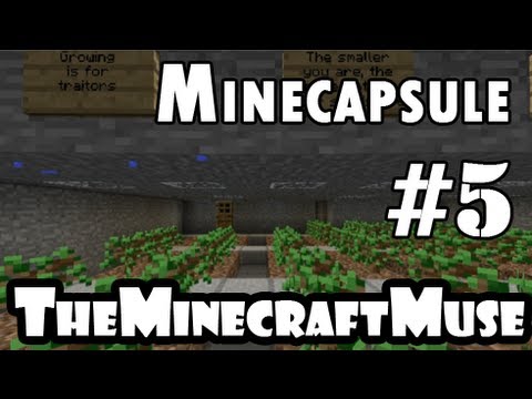 One of the top publications of @TheMinecraftMuse which has 258 likes and - comments