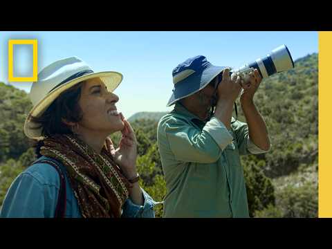 Enhancing the Ecosystem of Soudah Peaks | National Geographic