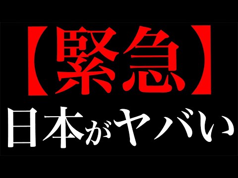 動画を見てください