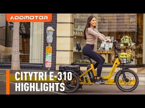 Discover the Remarkable Features of Addmotor Citytri E-310