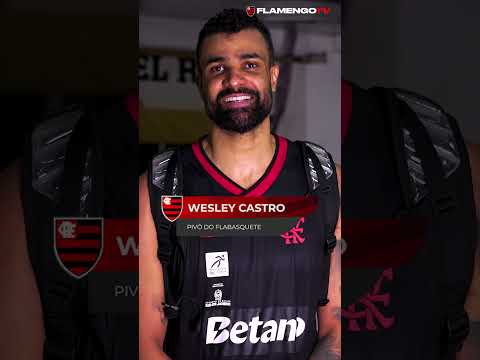 image para ilustrar o artigo