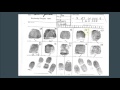 Henry System Fingerprint Classification