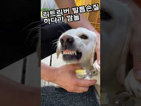 나는 너를 믿는다