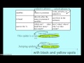 Understanding Prepositional and Adverb Phrases