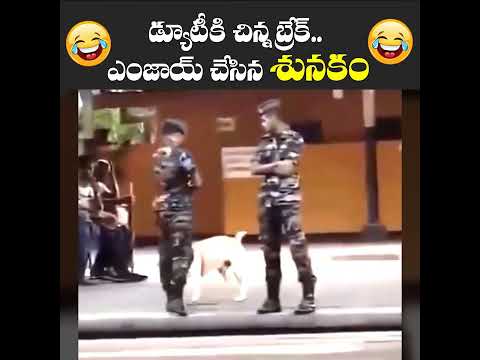 అధ్భుతమైన దృశ్యం కెమెరాకి చిక్కుంది #help #poor #children #shorts #viralshorts