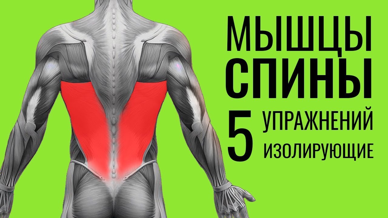 МЫШЦЫ СПИНЫ. 5 упражнений + ОШИБКИ УНИЧТОЖАЮЩИЕ ПРОГРЕСС!