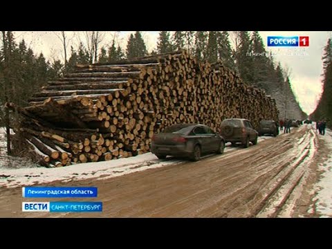 Под Вырицей лесорубы разбили единственную дорогу к деревне Слудицы