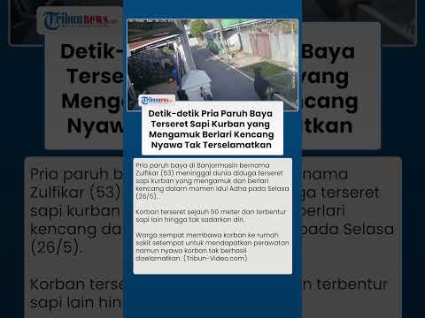 Detik-detik Pria Paruh Baya di Kalsel Terseret Sapi Kurban yang Mengamuk, Nyawa Tak Tertolong