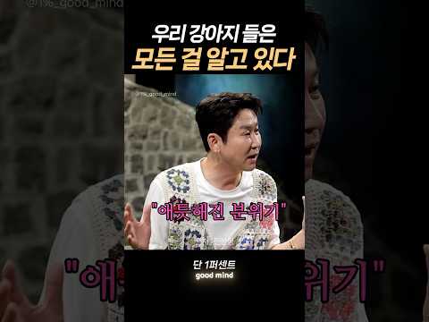 강아지들은 모든 걸 알고 있다