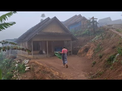 Dingin‼️ Pagi Berkabut di Kampung Tertinggi Sukabumi Suasana Pedesaan dengan Nuansa Alam Pegunungan