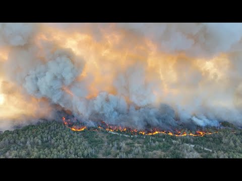 Wildfires blaze across Europe as heatwave bakes the continent | AFP