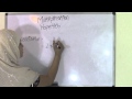 Multiplication Properties and Zero Property